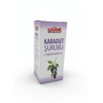 ARI DAMLASI KARADUT ŞURUBU 50 ML