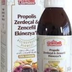 ARI DAMLASI PROPOLİS ZERDEÇAL YETİŞKİN PEKMEZ 250 GR
